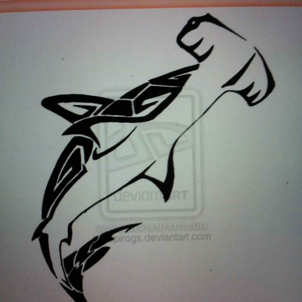 Meet your Posher, Robin